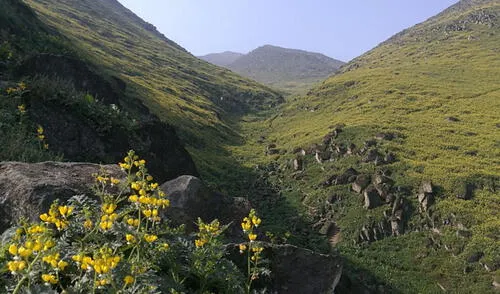 Primavera inició el 21 de septiembre de 2021. Foto: El Popular