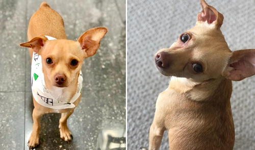 Simón fue diagnosticado con mal cardiaco congénito ducto arterioso persistente. Foto: álbum familiar Simón fue diagnosticado con mal cardiaco congénito ducto arterioso persistente. Foto: álbum familiar