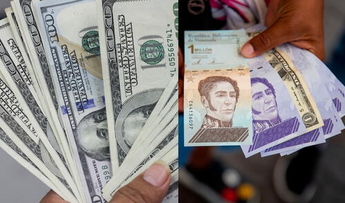 Conoce el precio del dólar en Venezuela hoy, domingo 10 de octubre, según Dólar Monitor y DolarToday. Foto: composición GLR / EFE