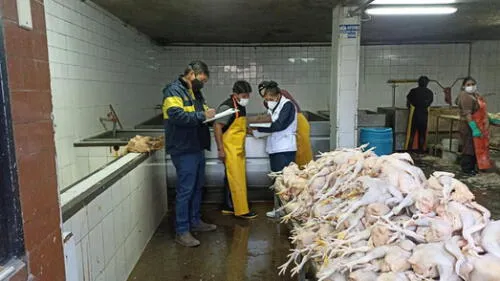 Local denominado Don Carlitos debe subsanar observaciones. Foto: Municipalidad de Cerro Colorado