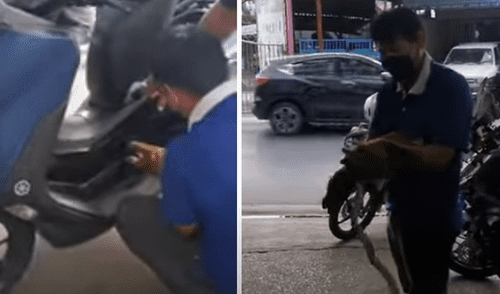 El video ha sido compartido en el canal Viral Press. Foto: captura de YouTube