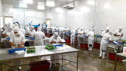 Quejas. Plantas reciben multas por incumplir las normas. Quejas. Plantas reciben multas por incumplir las normas.