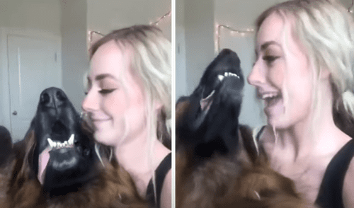 El video viral ha sido compartido en la página German Shepherd Life. Foto: captura de Facebook El video viral ha sido compartido en la página German Shepherd Life. Foto: captura de Facebook