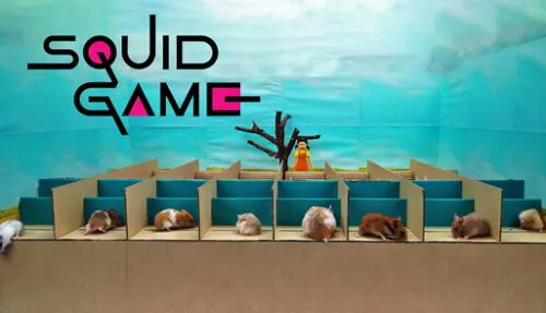 Solo un hámster logrará pasar todos los desafíos de la nueva producción hecha por el canal de YouTube Hamsterious. Foto: captura de YouTube Solo un hámster logrará pasar todos los desafíos de la nueva producción hecha por el canal de YouTube Hamsterious. Foto: captura de YouTube