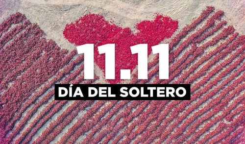 El Día del Soltero se celebra desde hace casi 3 décadas todos los 11 de noviembre. Foto: Composición/Gerson Cardoso