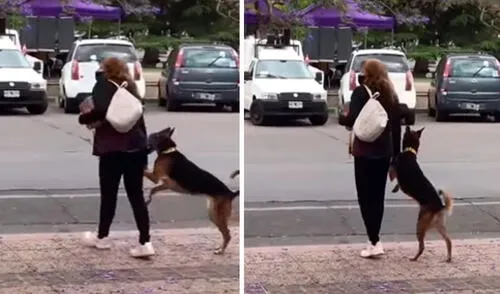 Un transeúnte captó el preciso momento en que un perrito se paró frente a su dueña para que sostuviera su pata delantera antes de caminar por la vía. Foto: captura de Facebook Un transeúnte captó el preciso momento en que un perrito se paró frente a su dueña para que sostuviera su pata delantera antes de caminar por la vía. Foto: captura de Facebook