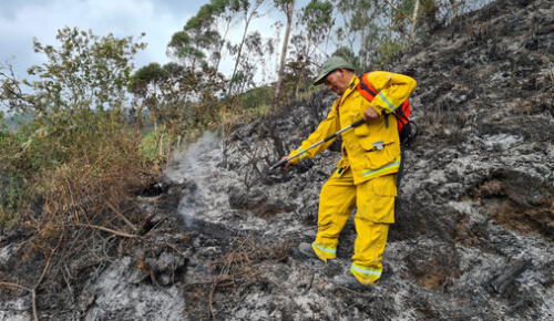 Siniestro no logra ser controlado debido a las características del combustible de bosque seco. Foto: Sernanp Siniestro no logra ser controlado debido a las características del combustible de bosque seco. Foto: Sernanp