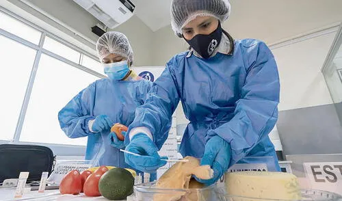 Análisis. INS tomó muestras durante cuatro semanas. No se halló la presencia del virus. Foto: difusión Análisis. INS tomó muestras durante cuatro semanas. No se halló la presencia del virus. Foto: difusión