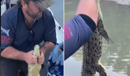 El video viral ha causado gran sensación en las redes sociales. Foto: captura de YouTube El video viral ha causado gran sensación en las redes sociales. Foto: captura de YouTube