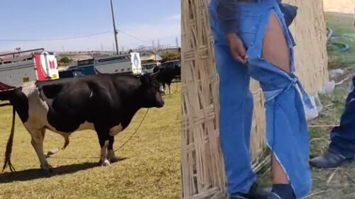 Feria Artesanal e Industrial de Moquegua se realiza por el aniversario de la región. Foto: composición La República/capturas de Radio Americana Feria Artesanal e Industrial de Moquegua se realiza por el aniversario de la región. Foto: composición La República/capturas de Radio Americana