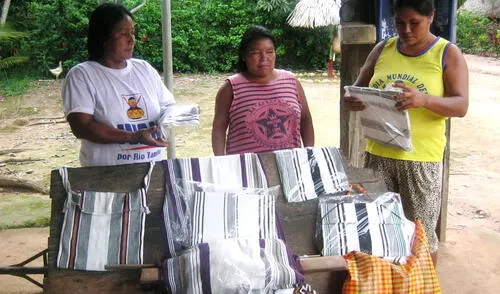 Proyecto es implementado en siete distritos de las provincias de Chanchamayo, Satipo y Tarma. Foto: Midis Proyecto es implementado en siete distritos de las provincias de Chanchamayo, Satipo y Tarma. Foto: Midis