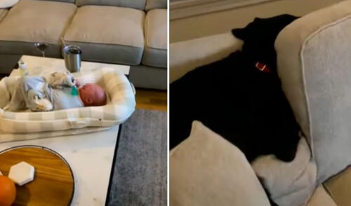 Miles de usuarios en las redes sociales han reaccionado a este video. Foto: captura de YouTube Miles de usuarios en las redes sociales han reaccionado a este video. Foto: captura de YouTube