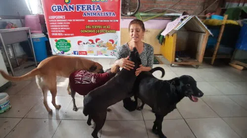 La feria de Navidad Peluda inició desde hace unos 6 años, y ha ayudado a más de 20.000 mascotas. Foto: Grace Mora / URPI-LR La feria de Navidad Peluda inició desde hace unos 6 años, y ha ayudado a más de 20.000 mascotas. Foto: Grace Mora / URPI-LR