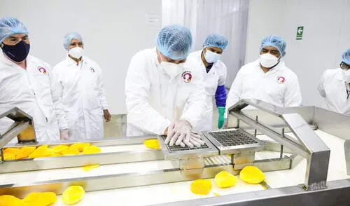 El Midagri apoyó el proyecto para mejorar la economía. Foto: Midagri