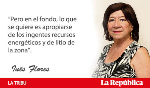 flores flores