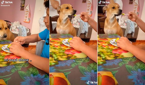 Estas imágenes han causado todo tipo de reacciones en las redes sociales. Miles de cibernautas no han parado de comentar este video. Foto: captura de TikTok