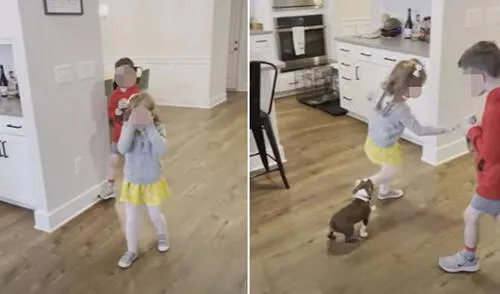 Miles de usuarios quedaron conmovidos al ver estas imágenes. Foto: captura de YouTube