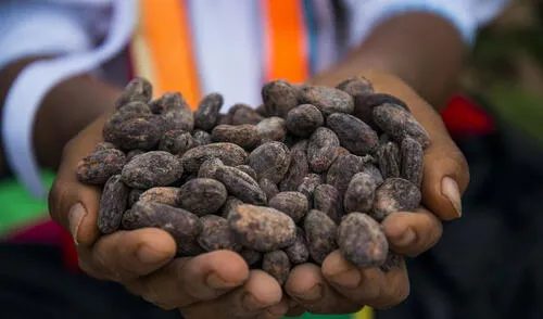 El 83% de la población en el Perú toma en cuenta la información nutricional de sus alimentos. Foto: Promperú
