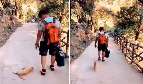 Un hombre fue amable con un felino que deambulaba por un lugar turístico, pero no imaginó que este lo iba a seguir para estar a su lado. Foto: captura de YouTube