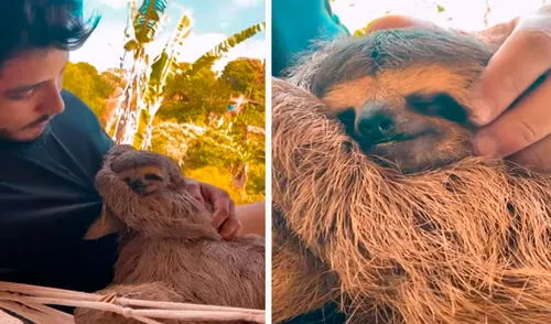 Un joven rescató a un indefenso animal que estaba en peligro; sin embargo, no imaginó que iban a formar una relación especial. Foto: captura de YouTube