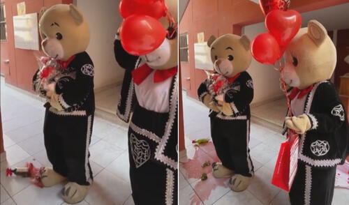 Estas imágenes ya son tendencia en varias redes sociales. Foto: captura de TikTok