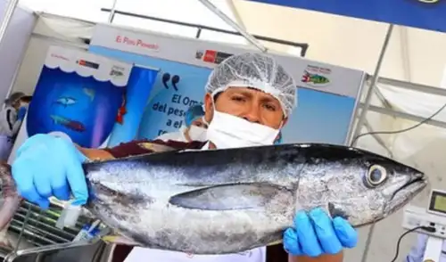 Pescadores están obligados a efectuar la descarga del recurso capturado sólo en los puntos de desembarque autorizados. Foto: Andina.