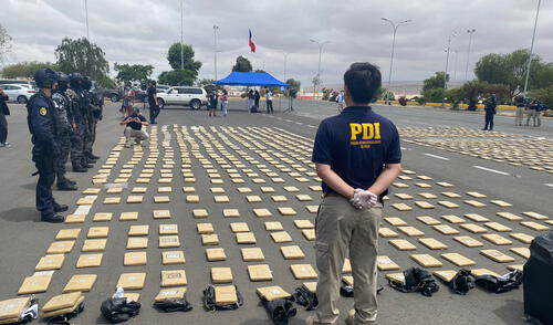 Incautación de marihuana se concretó luego de nueve meses de investigación. Foto: PDI