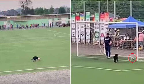 Estas divertidas imágenes se volvieron tendencia en varias redes sociales. Foto: captura de YouTube