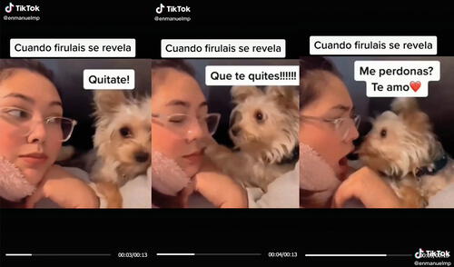 La reacción de la mujer hizo que la perrita se muestre arrepentida. Foto: captura de TikTok La reacción de la mujer hizo que la perrita se muestre arrepentida. Foto: captura de TikTok