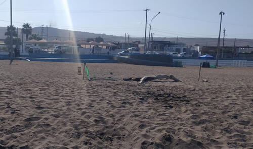 Comuna pidió a población denunciar actos similares. Foto: Municipalidad de Ilo