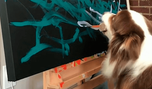 La perrita ha demostrado sus grandes habilidades para la pintura. Foto: captura de YouTube La perrita ha demostrado sus grandes habilidades para la pintura. Foto: captura de YouTube
