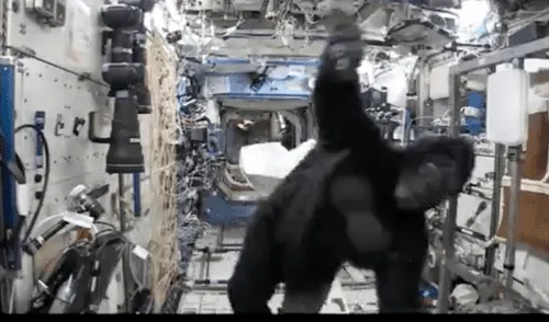 A pesar de que el clip fue grabado en el 2016, nuevamente ha tomado relevancia en 2022. Foto: captura de Facebook A pesar de que el clip fue grabado en el 2016, nuevamente ha tomado relevancia en 2022. Foto: captura de Facebook