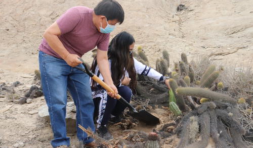 Universitarios plantaron 2 variedades de cactus. Foto: UNT