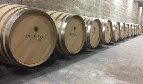 Evento fue realizado a fines del 2021. Foto: difusión