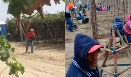 En otras ocasiones, los obreros han denunciado maltratos laborales. Foto: La Lupa / captura de video de Facebook