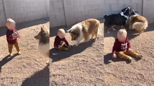El perrito le llevó la pelota a la pequeña cuando esta se cayó. Foto: captura de YouTube