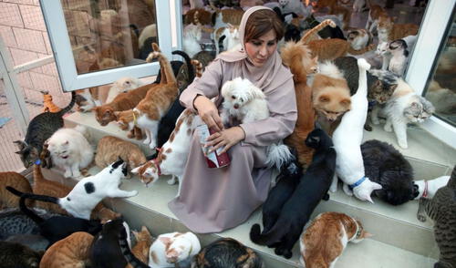 Una persona que padece del síndrome de Noé suele camuflar el rescate de los animales como una presunta acción de amor, sin embargo, desconocen de su condición. Foto: AFP Una persona que padece del síndrome de Noé suele camuflar el rescate de los animales como una presunta acción de amor, sin embargo, desconocen de su condición. Foto: AFP