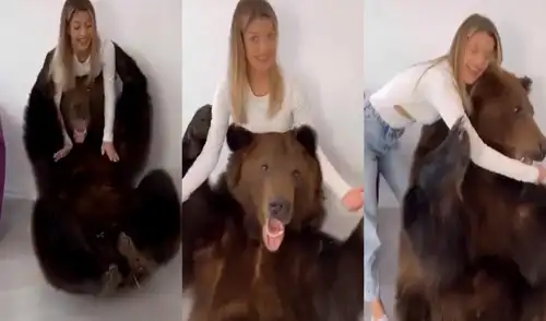 Tatarinseva, entre lágrimas, recurrió a la plataforma para compartir clips y expresar remordimiento. Foto: captura de TikTok