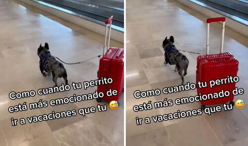 La publicación logró obtener más de 3 millones de reproducciones y miles de 'me gusta' en poco tiempo. Foto: captura de TikTok La publicación logró obtener más de 3 millones de reproducciones y miles de 'me gusta' en poco tiempo. Foto: captura de TikTok