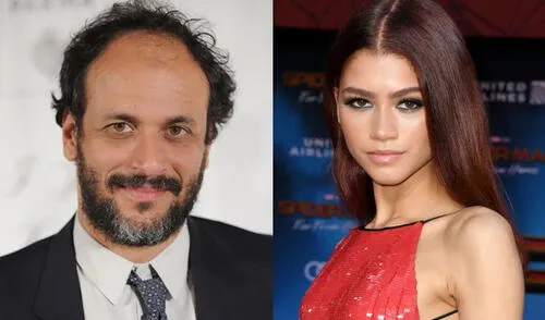 Director Luca Guadagnino y Zendaya. Foto: composición/Instagram/IMDb