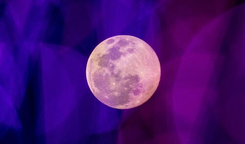 Leo es un signo que se caracteriza por ser generoso y acogedor. Foto: Jack TAYLOR / AFP