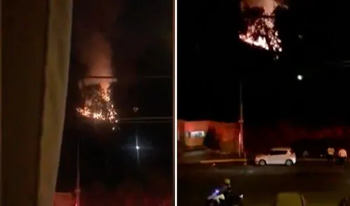 Foto: composición LR