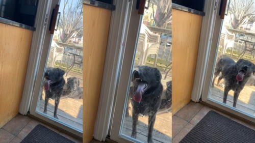 Esto ocurrió en un hogar ubicado en Attleboro, Massachusetts, USA. Foto: captura de YouTube Esto ocurrió en un hogar ubicado en Attleboro, Massachusetts, USA. Foto: captura de YouTube