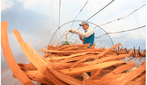 Acción se ejecutará en zona altoandina de la región. Foto: Serfor