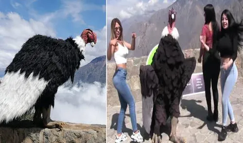 Cesar Zuka emprendió con singular personaje durante la pandemia. Foto: Cesar Zuka Gutiérrez/ Facebook