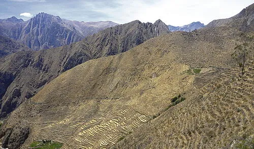 Andenes. Muy cerca del poblado de Miraflores se pueden ver casi 70 hectáreas de andenes. Foto: difusión