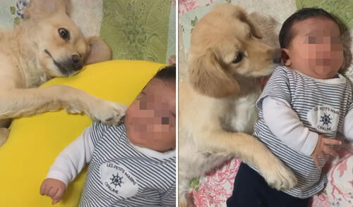 La emotiva escena ha conmovido a miles de usuarios en las redes sociales. Foto: captura de TikTok