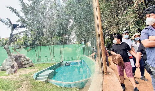 Unión. Hoy y mañana habrá diferentes actividades en el Parque de las Leyendas. Foto: URPI/ GLR