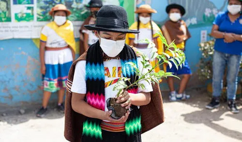 Programa se implementó el último martes 26 de abril. Foto: LLYC