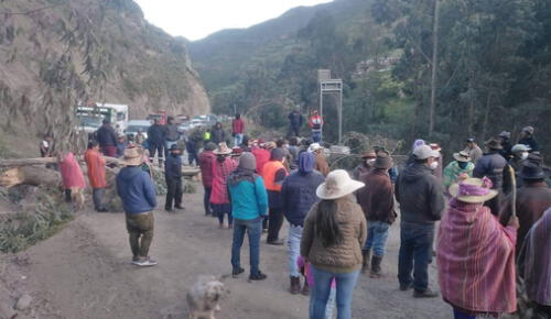 Ciudadanos usaron troncos de árbol para reclamar que se reactiven trabajos en vía de comunicación. Foto:
